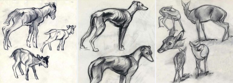 02-Weeks-Animal-Studies