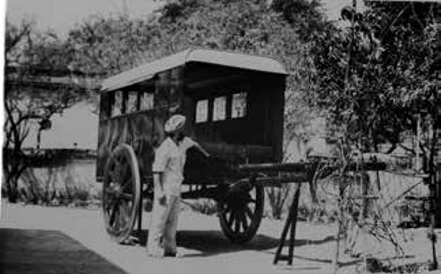man with film bullock cart